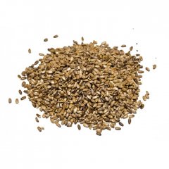 Milk Thistle seeds | Silybum marianum